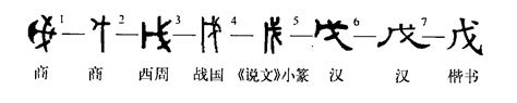 戊|细说汉字：戊